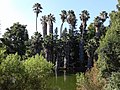 Thumbnail for Baldwin Lake (Los Angeles County, California)