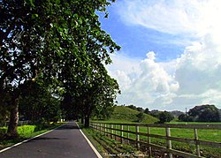 Barrio Zanja, caminito hacia Abra Honda - Camuy, Puerto Rico - panoramio.jpg