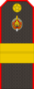 Belarus Police—14 Senior Sergeant rank insignia (Gunmetal).png