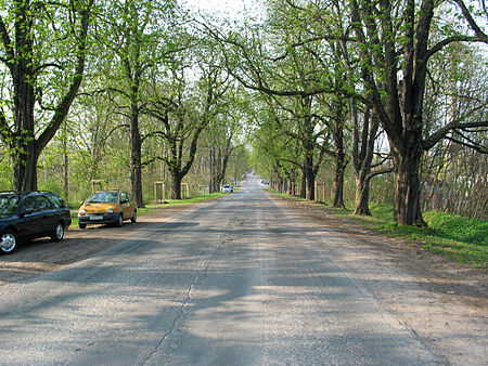 Belvederer Allee in Weimar