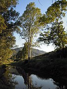 Beniaján: Geografía, Medio físico y espacios naturales, Demografía