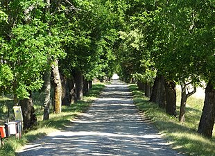 Allén, vy mot nordost