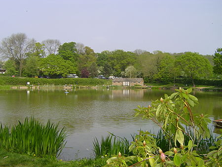 Bitterwell Lake