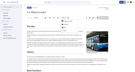 BlueSpice MediaWiki