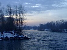 Bosco sulle rive dell'Adda nel parco dell'Adda Sud