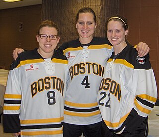 2010–11 Boston Blades season