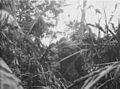 3rd Battalion, 9th U.S. Marines battle Japanese infantry from the 54th Infantry Division November 7 or 8, 1943 on Bougainville island during the Battle of the Koromokina Lagoon.