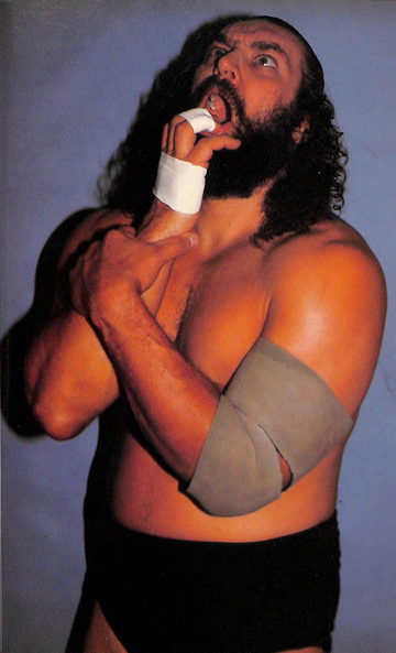 Bruiser Brody