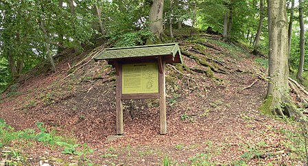 Burg Lauenburg Bodenwerder Infotafel