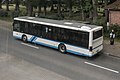 Bus (LRM 20200605 115128).jpg