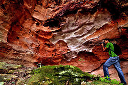 Geoparque Araripe, o primeiro nas Américas, reconhecido pela UNESCO em virtude da importância de seu patrimônio geológico e paleontológico a nível mundial.