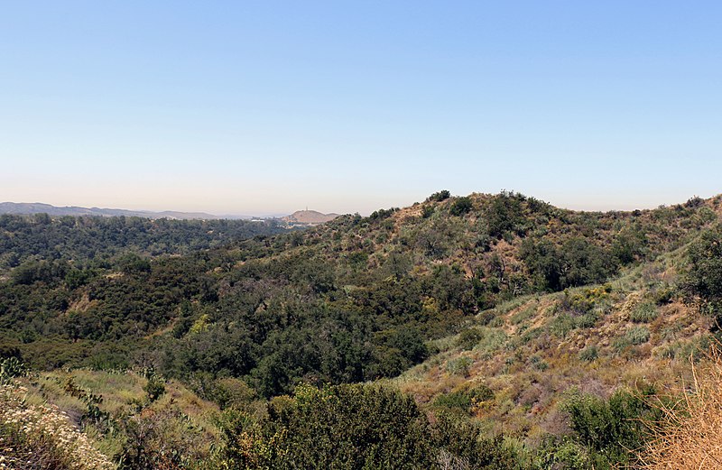 File:Cactus sage scrub near O'Neill Regional Park, OC (35469743905).jpg