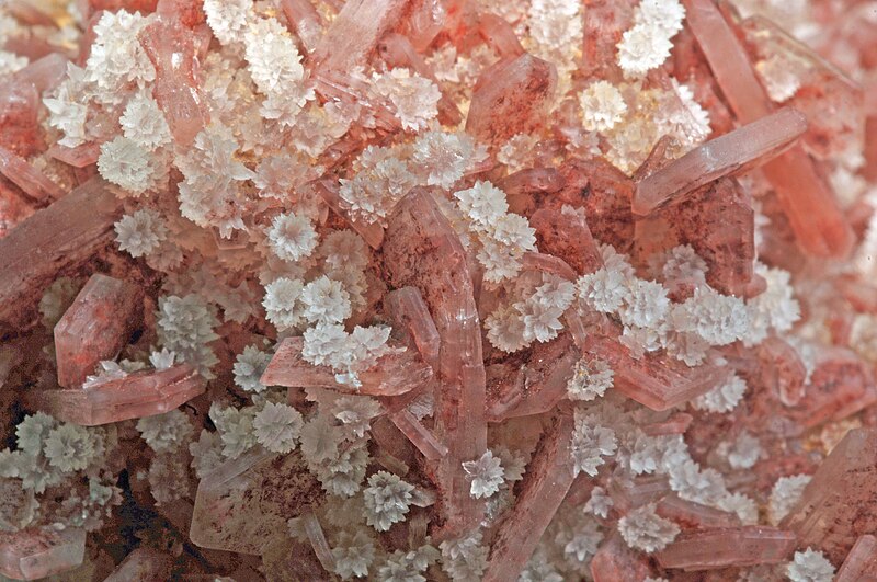 File:Calcédoine sur stilbite (Lonavala Quarry, Lonavale (Lonavala), Poonah, Maharashtra - India) 2.jpg