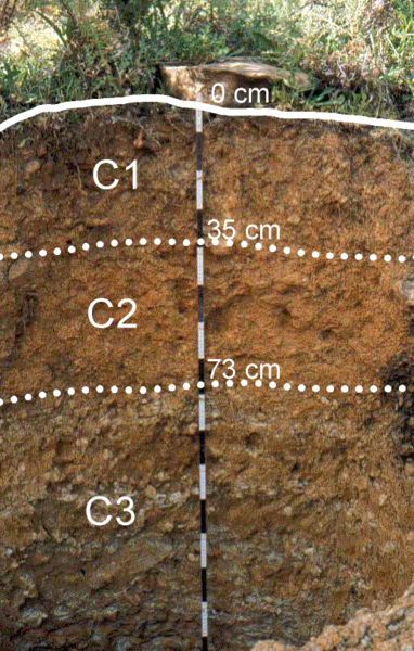 File:Calcaric Regosol Luqmuts Ethiopia.png