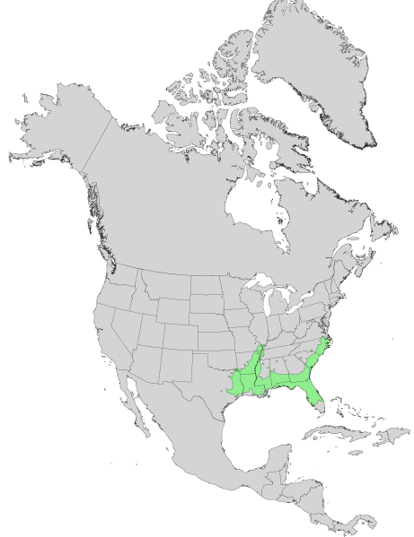 File:Carya aquatica USGS range map.png