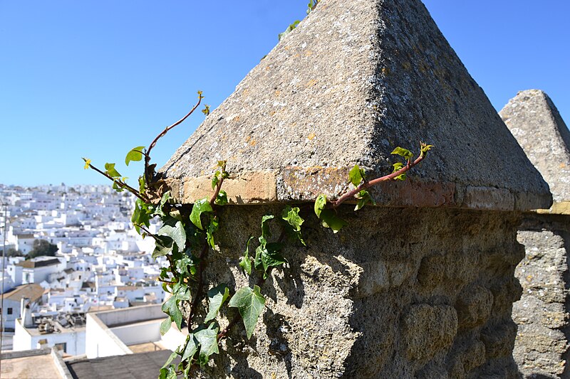 File:Castillo de Vejer (33085929601).jpg