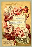 Catalogue 1901