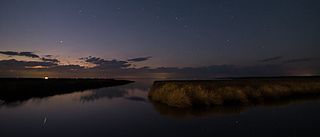 <span class="mw-page-title-main">Cedar Island National Wildlife Refuge</span> National Wildlife Refuge in North Carolina, United States