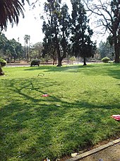 Centenary Park Centinary Park.jpg