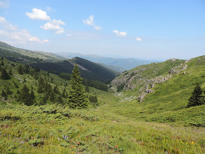 File:Central Balkan National Park 14.JPG