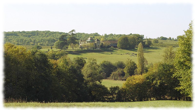 File:Château de Mauhic vue de loin.jpg