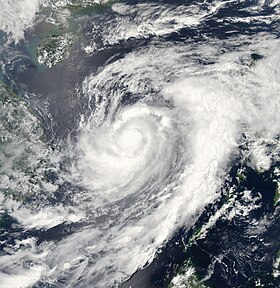 imagem ilustrativa de artigo Tufão Chan-hom (2009)