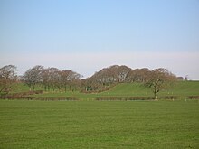 The old wooded lane from Muirhouses farm to Middleton Cottage with the 'Cheepy Neuk'. 2007. Cheepyneuk.JPG