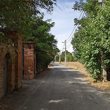 Chemin Bernard Sarrette (Toulouse)