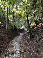 Chemin du Crabbegat