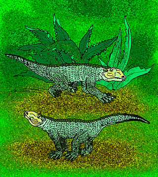 <i>Chimaerasuchus</i> Extinct genus of reptiles