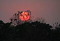 Chitwan-22-Sonnenuntergang-2013-gje.jpg