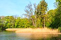 pohled na Chrtnický rybník