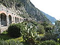 Giardino tunnel dell'Amore