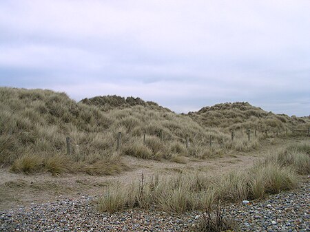 Climping Dunes 2