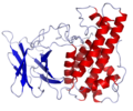 Pienoiskuva sivulle Clostridium perfringensin alfatoksiini