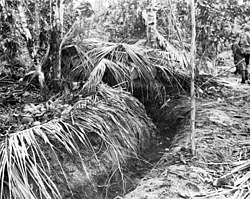 Coconut log bunker at Buna