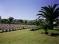 Vignette pour Cimetière militaire de Sfax