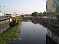 Cooum, Chennai