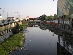 Cooum river