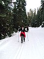 Cross-country-skiing-2-7.jpg