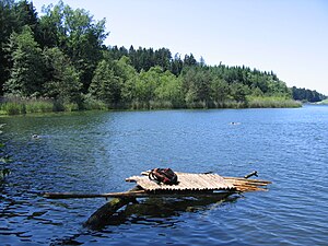 D-BW-Tettnang - Degersee Badefreude.JPG