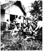 Ma'anyan people in a fruit market in Telang, 1963. Dayak Maanyan.png