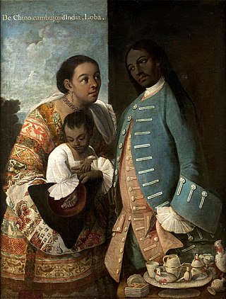 <span class="mw-page-title-main">Lobo (racial category)</span> Racial category in the Spanish colonial racial label