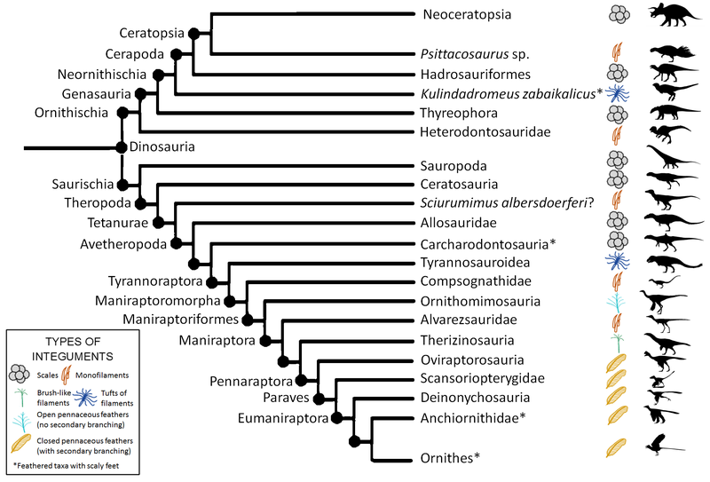 File:Dinosauria phylogeny and integument.png