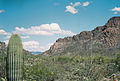 Cat Mtn., Tucson, AZ