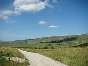 Drumul Petreștii de Sus-Borzești