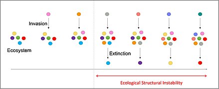 This image shows gradual saturation of an ecosystem to the point of Ecological Structural Instability. At the start species invasions do not lead to extinctions, though as more species enter the ecosystem, one species invasion leads to another species extinction.