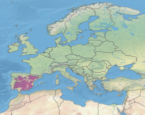 Beschreibung des Bildes der Ökoregion PA1209.svg.