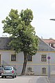 Deutsch: Eisenstadt Unterberg