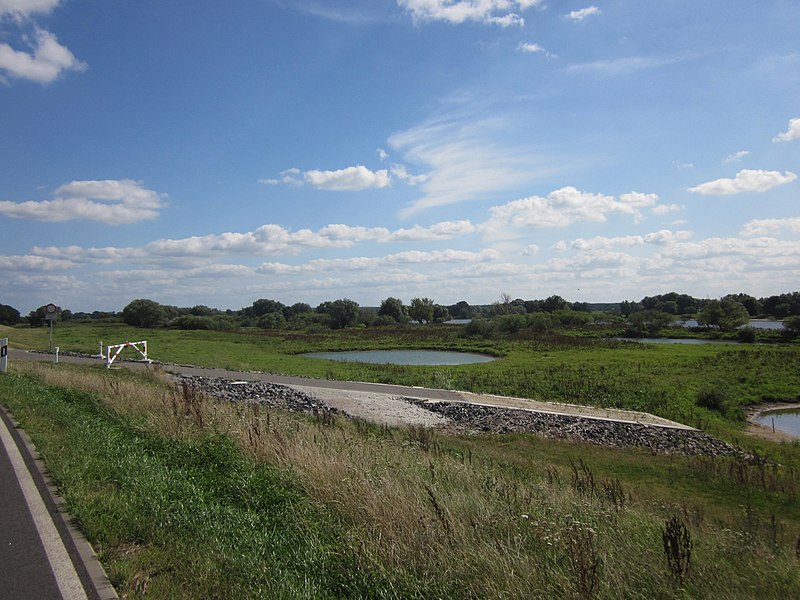 File:Elbe river landscape near Neu Bleckede. Niedersachsen , Germany. - panoramio.jpg